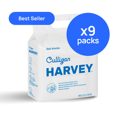 Block Salt - 9 Packs