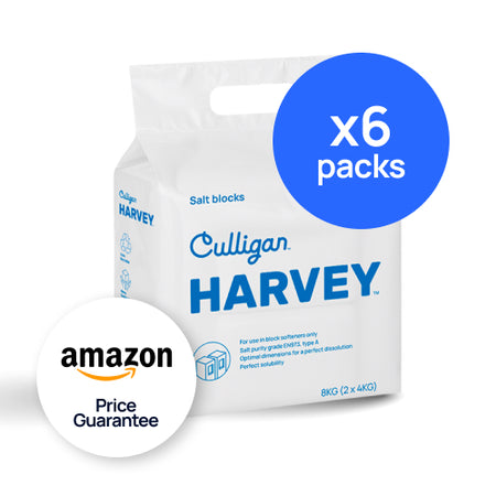 Block Salt - 6 Packs